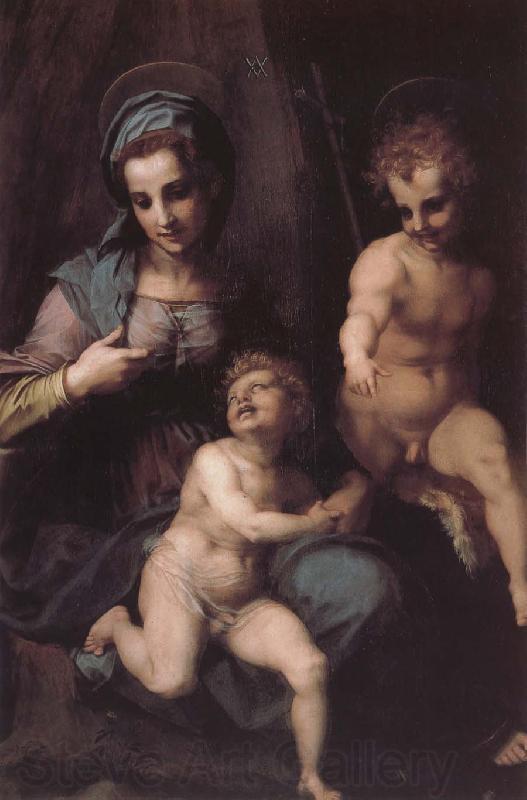 Andrea del Sarto Virgin Mary and Jeusu and John Spain oil painting art